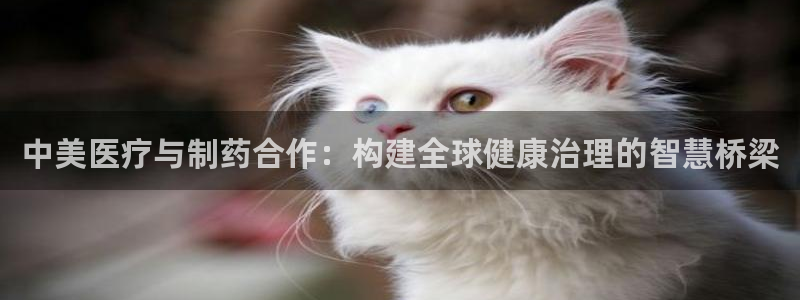 门徒娱乐链接是什么：中美医疗与制药合作：