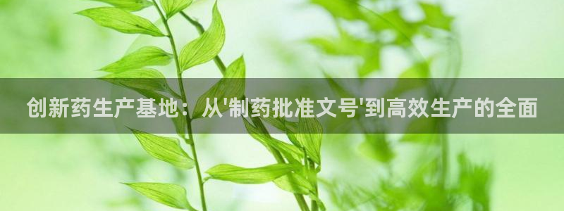 门徒娱乐咋样尼：创新药生产基地：从\'制
