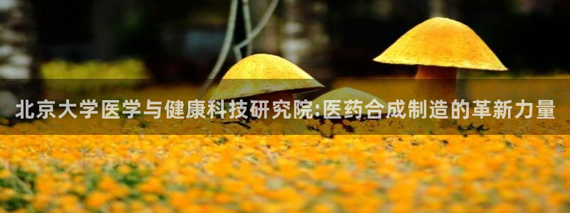 门徒娱乐线路