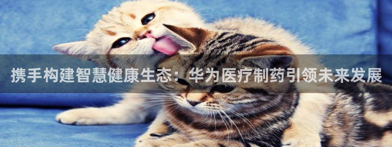 娱乐门徒娱乐世纪