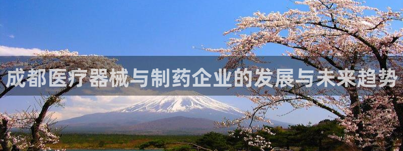 曼巴门徒娱乐圈