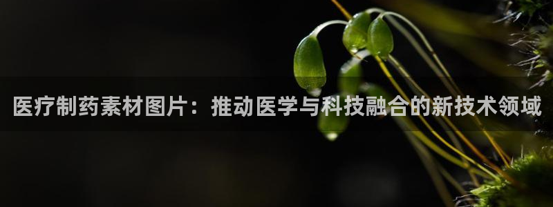 门徒娱乐平台