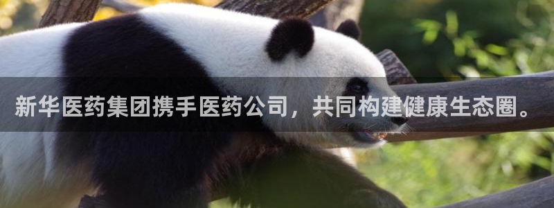 门徒娱乐 圈主管