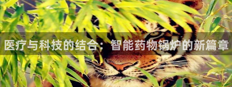 娱乐门徒txt全集下载