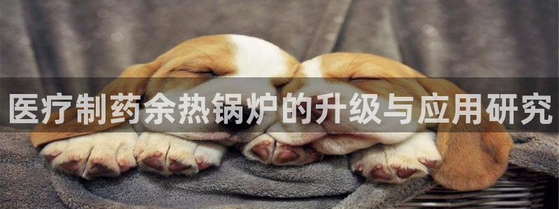 娱乐门徒电影截图