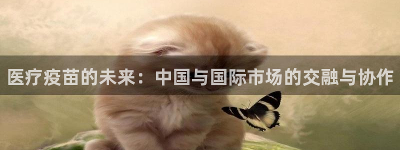 门徒娱乐什么平台能看