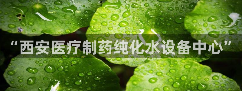 门徒娱乐总代理