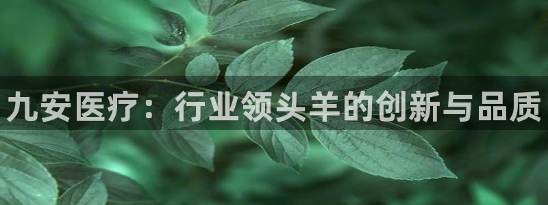 门徒娱乐项目介绍文案