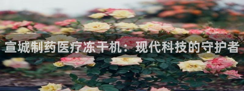 门徒娱乐官方