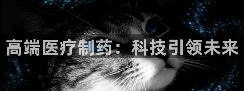 门徒娱乐网站有哪些公司