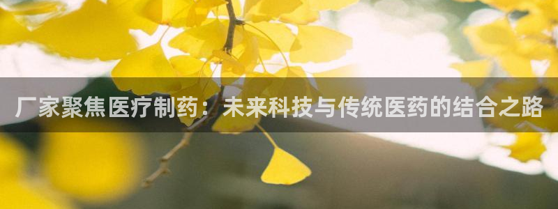 门徒娱乐项目叫什么名称