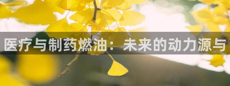 门徒娱乐成功案例有哪些