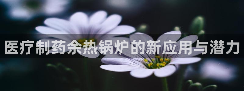 娱乐门徒北洋天下