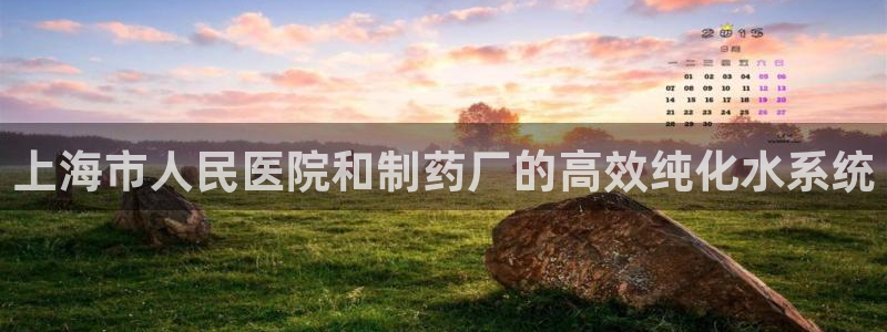 门徒娱乐是干嘛的