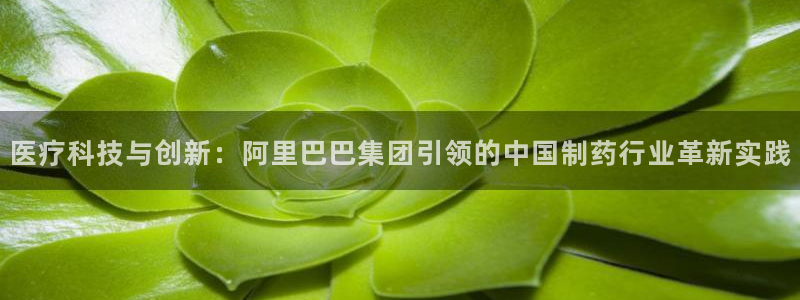 门徒娱乐平台下载