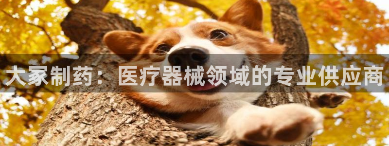 门徒娱乐代理怎么做