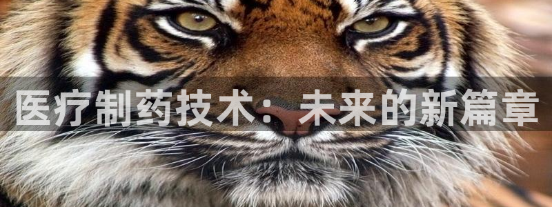 门徒娱乐挂机软件是什么