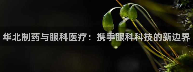 门徒娱乐区究7276O