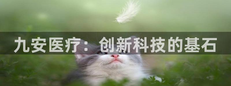 门徒娱乐里eth靠谱不