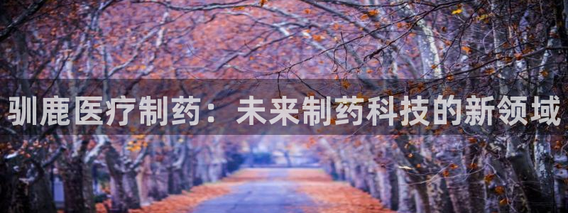 门徒娱乐日5指尖