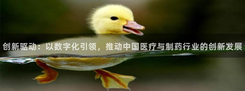 门徒娱乐服务器在哪里