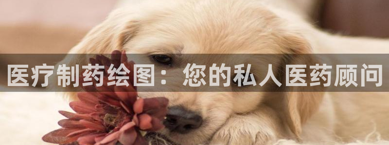 门徒娱乐什么平台