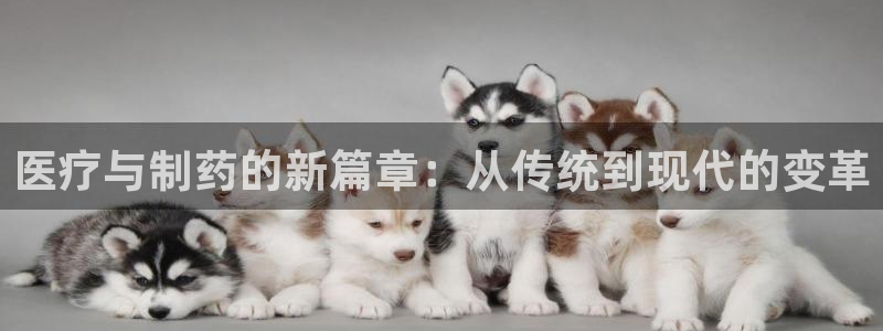 门徒娱乐项目介绍怎么写