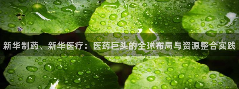 门徒娱乐官网登录入口登录