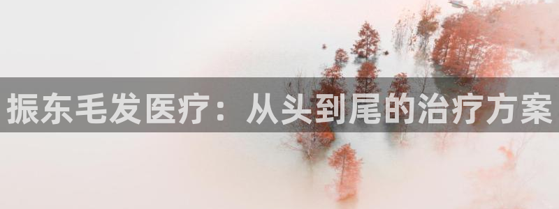 门徒娱乐官网登录不了