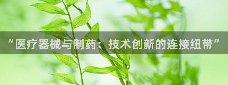 门徒娱乐平台代理登录网站