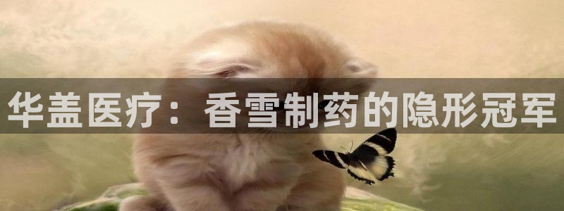 门徒娱乐跑路了吗知乎