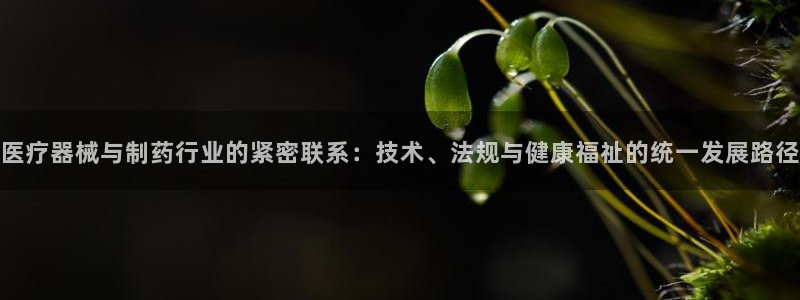 门徒娱乐登陆网站打不开