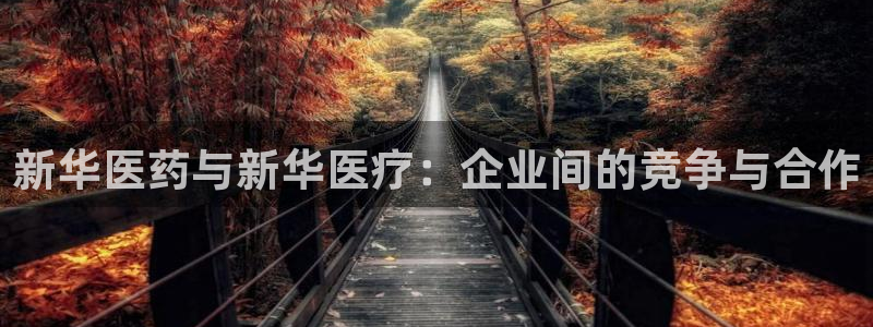 焦点娱乐门徒平台是什么