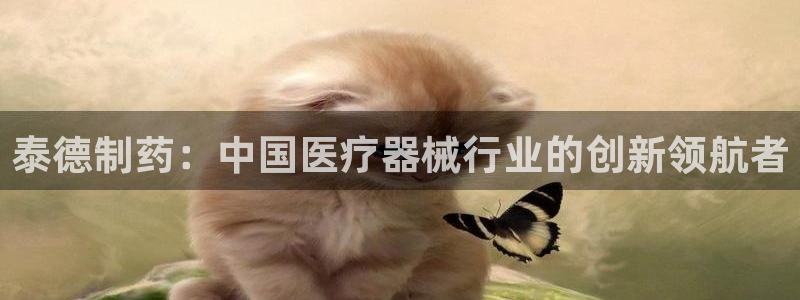 门徒娱乐老板是谁扮演的