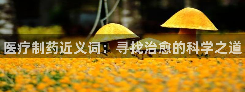 门徒娱乐怎么样知乎文章