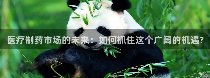 门徒娱乐招商之判官333OO