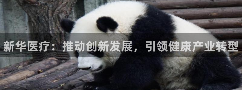 门徒娱乐川六七五一38