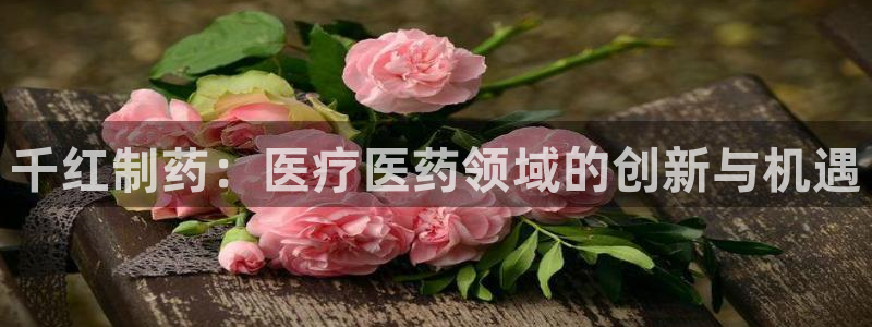 门徒娱乐官网登录入口