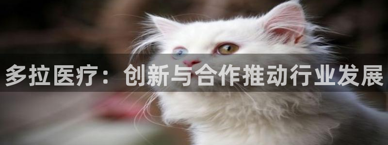 门徒娱乐平台是正规的吗