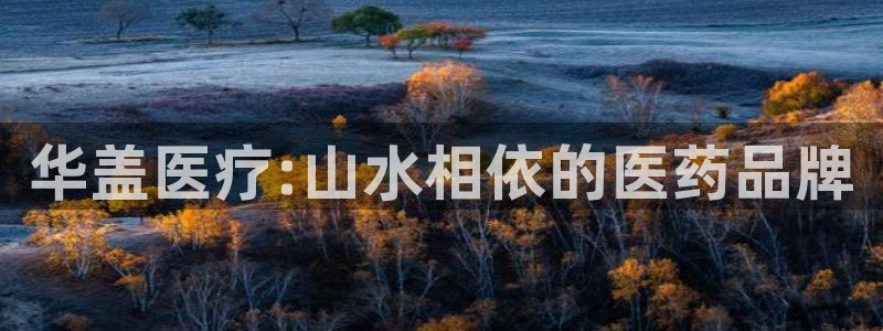 门徒娱乐网页版登录不了